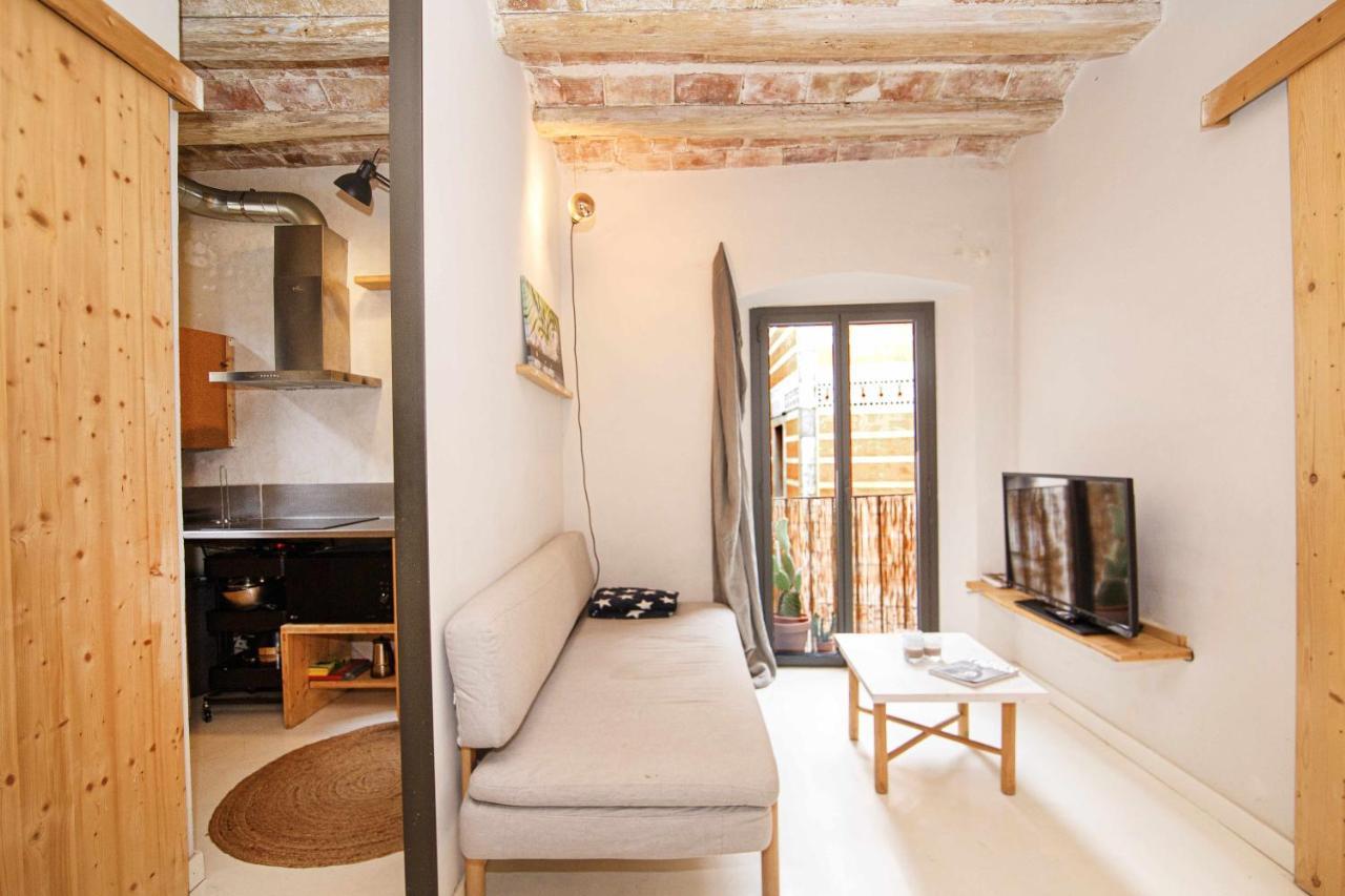 Apartamento Tr Auriga En El Barri Vell Χιρόνα Εξωτερικό φωτογραφία